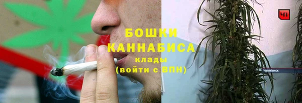 spice Абаза