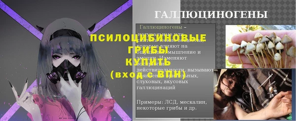 spice Абаза
